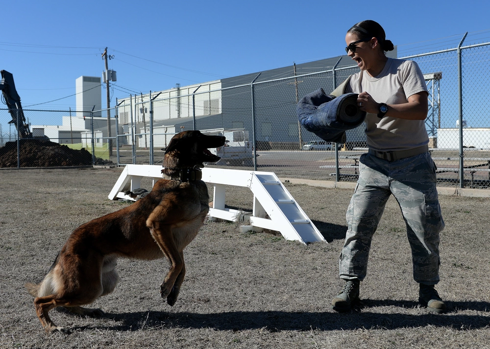 dog trainer in Lomac Heights